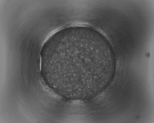 X0000111591219200908061341