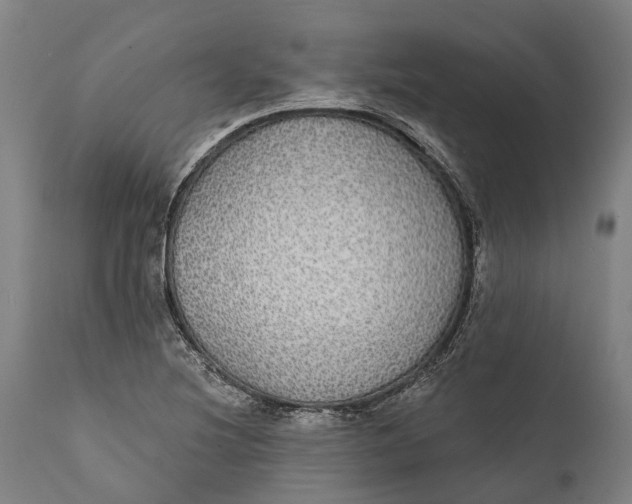 X0000111591220200908061341