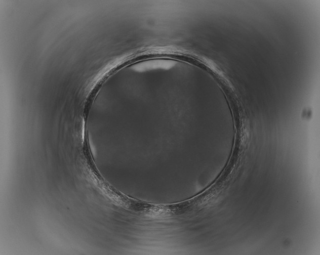 X0000111591221200908061341