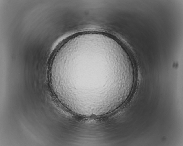 X0000111591222200908061341