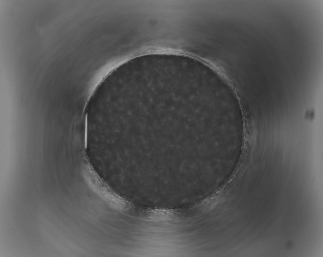 X0000111591223200908061341