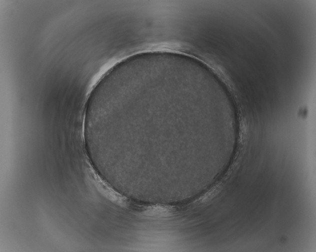 X0000111591224200908061342