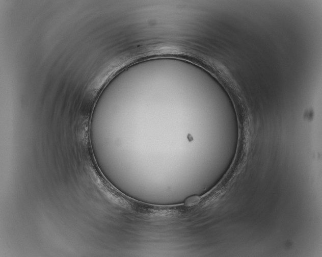 X0000111591225200908061342