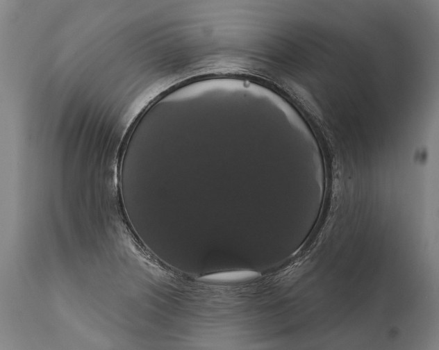 X0000111591226200908061342