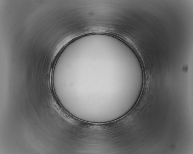 X0000111591227200908061342