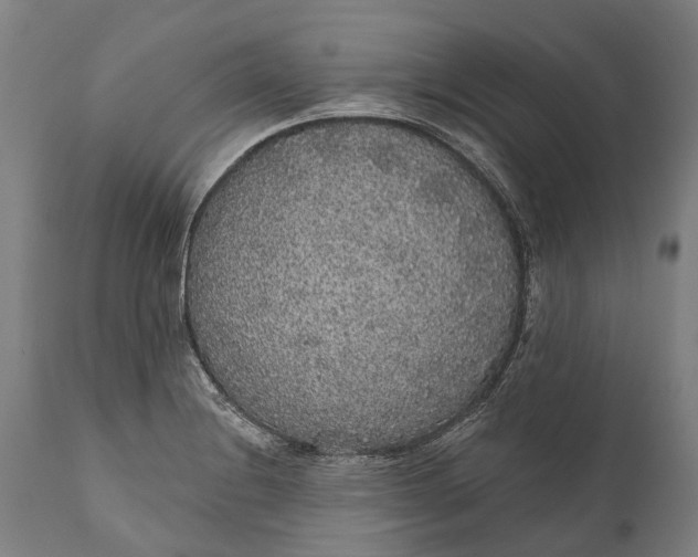 X0000111591228200908061342