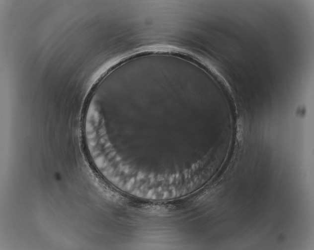 X0000111591229200908061342