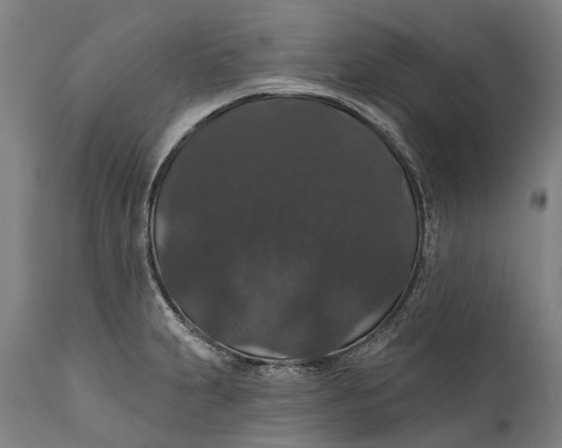 X0000111591231200908061342