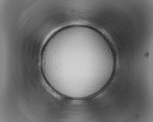 X0000111591232200908061342