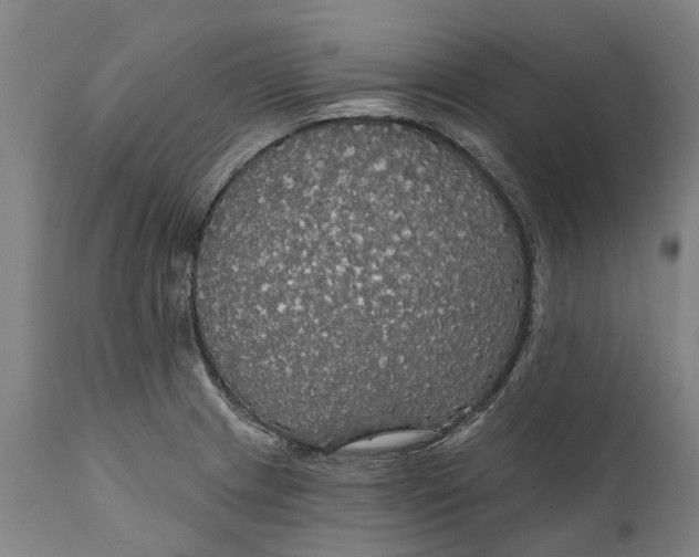 X0000111591233200908061342