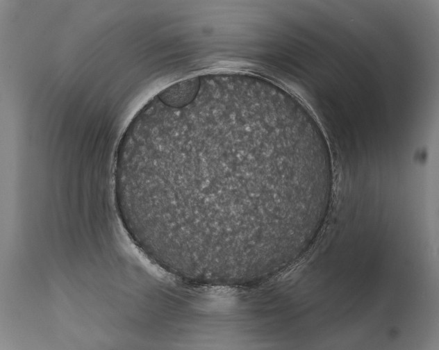 X0000111591235200908061342