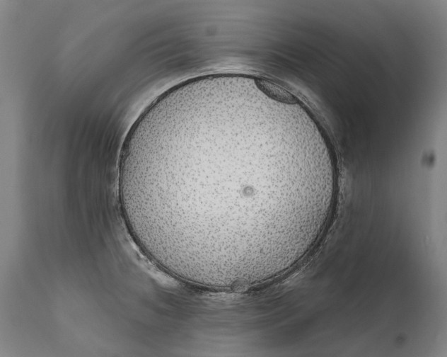 X0000111591236200908061342