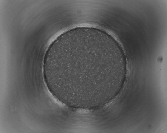 X0000111591237200908061342