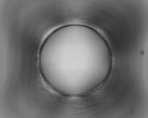 X0000111591238200908061342