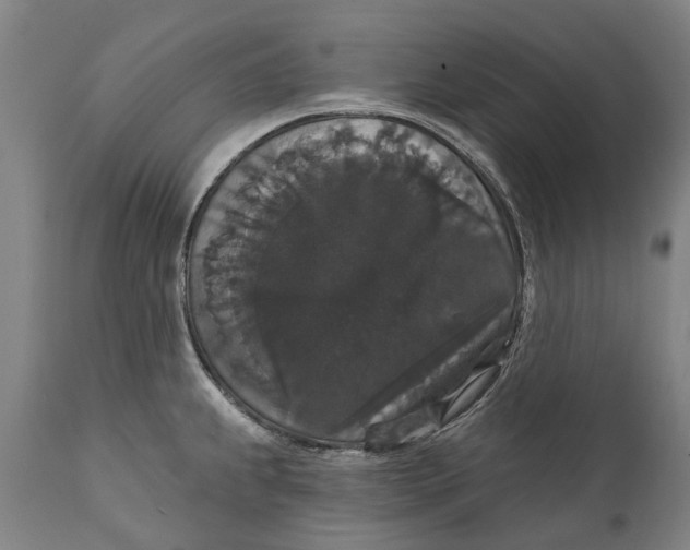 X0000111591239200908061342