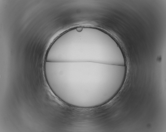 X0000111591240200908061342