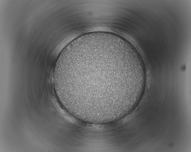 X0000111591241200908061342