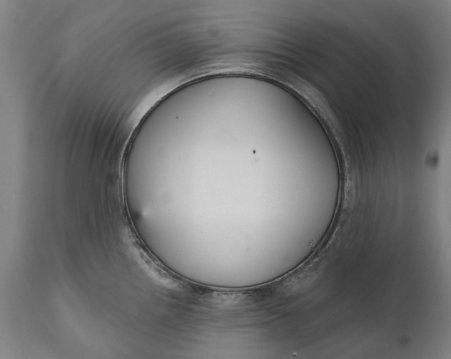 X0000111591242200908061342