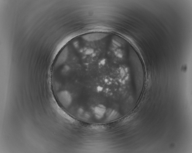 X0000111591243200908061342