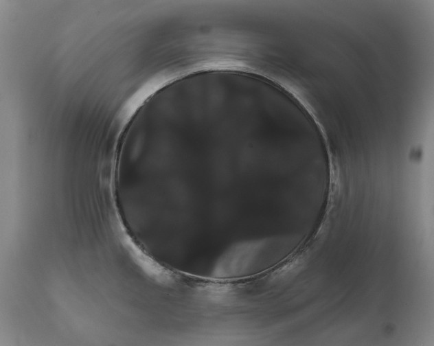 X0000111591245200908061342