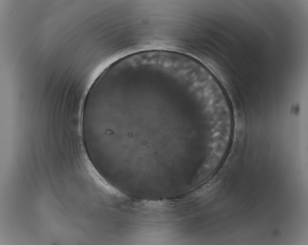 X0000111591246200908061342