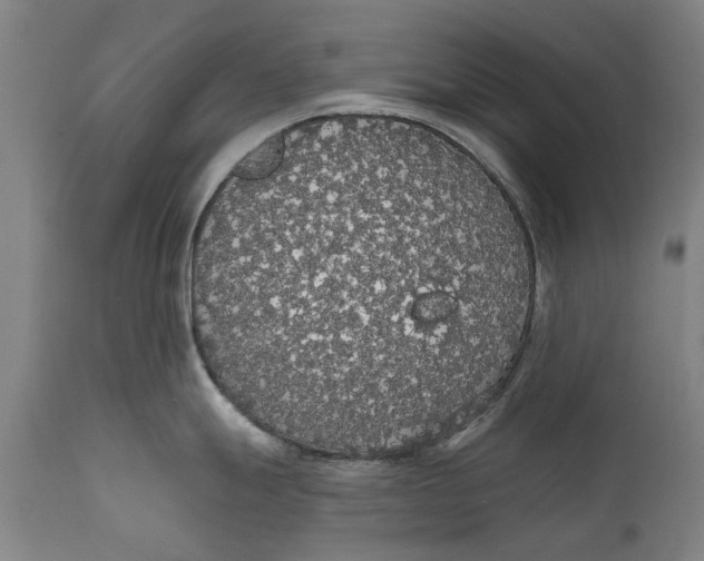 X0000111591247200908061342