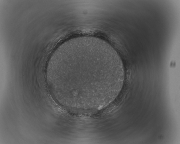 X0000111591249200908061341