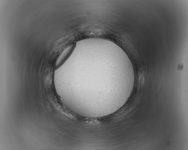 X0000111591250200908061341