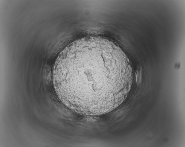 X0000111591251200908061341