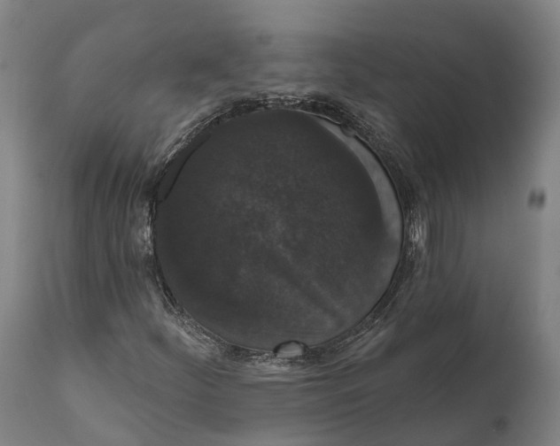 X0000111591252200908061341