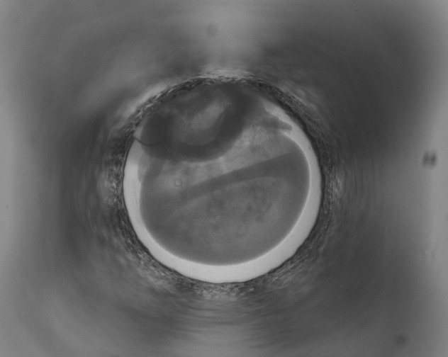 X0000111591254200908061341