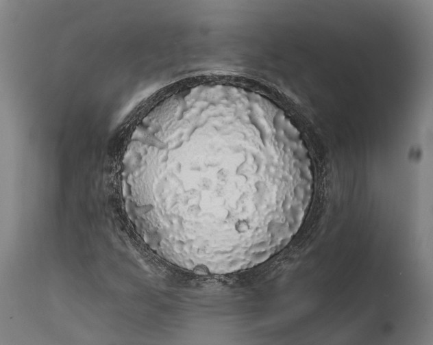 X0000111591255200908061341