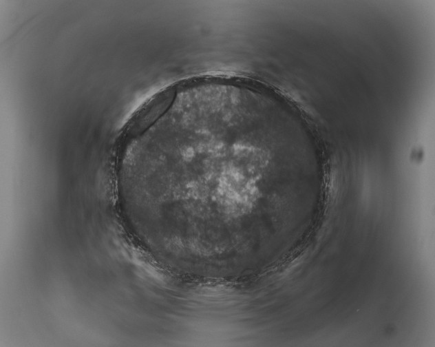 X0000111591256200908061341