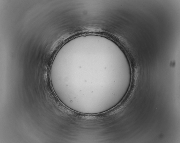 X0000111591257200908061341