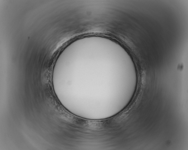 X0000111591258200908061341