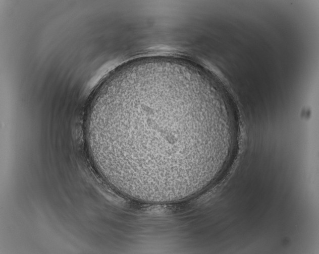 X0000111591259200908061341