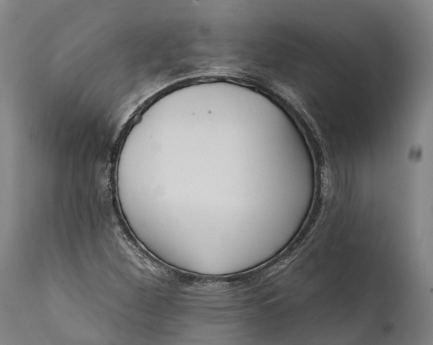 X0000111591260200908061341