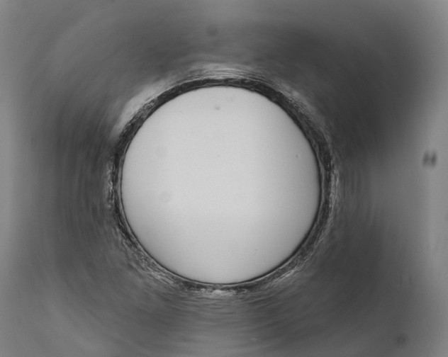 X0000111591261200908061341