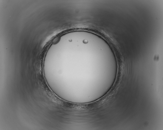 X0000111591262200908061341