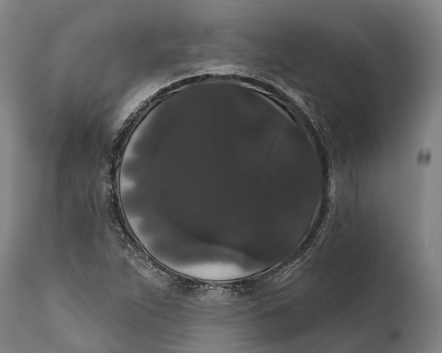 X0000111591263200908061341