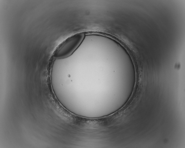 X0000111591264200908061341