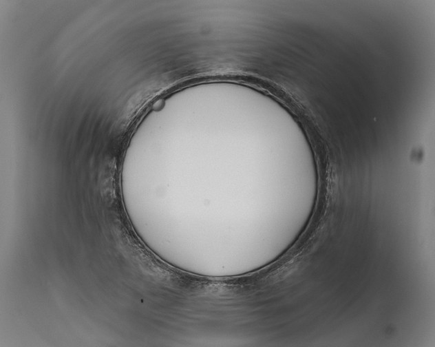 X0000111591265200908061341