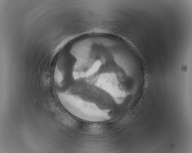 X0000111591266200908061341