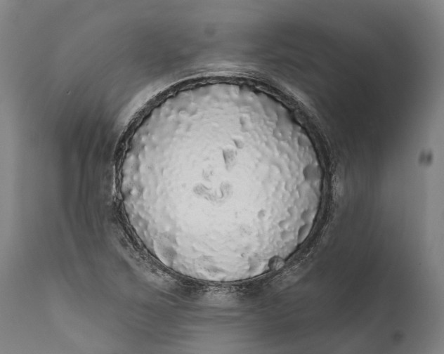 X0000111591267200908061341