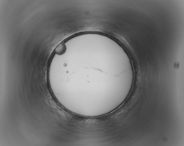 X0000111591268200908061341