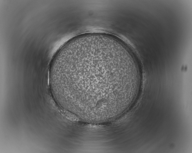 X0000111591269200908061341