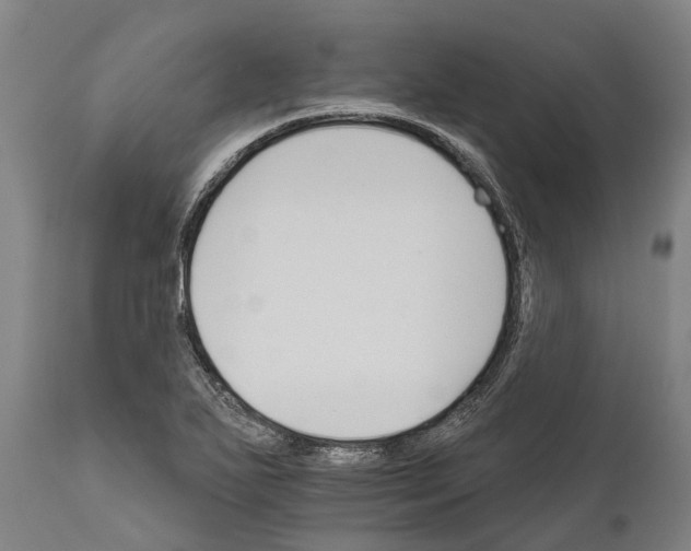 X0000111591271200908061341