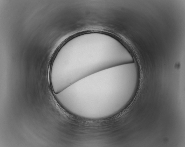 X0000111591272200908061341