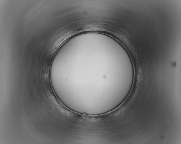 X0000111591273200908061341