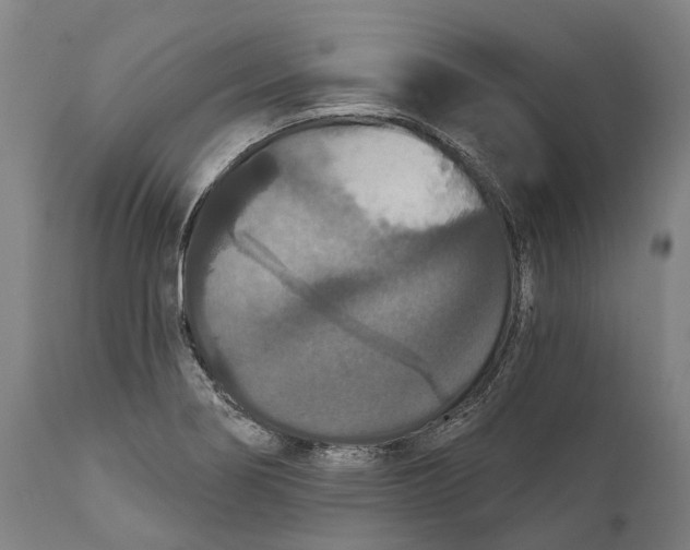 X0000111591274200908061340